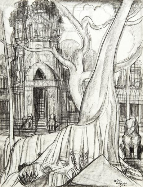 Angkor, Grand arbre, devant Angkor Thom, 1957