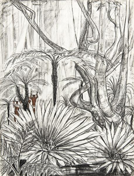 Madagascar, Porteurs dans la végétation, 1959